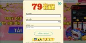 Trải nghiệm người dùng trên 79king